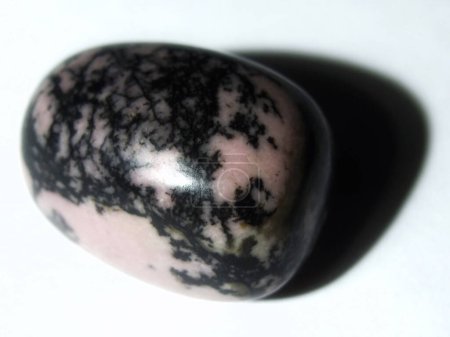 Téléchargez les photos : Rhodonite brillante avec des inclusions noires distinctives fixées sur une surface blanche - en image libre de droit