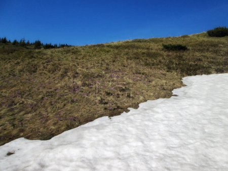 Snow Remnants in the Mountains in Spring