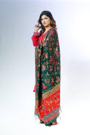 Foto de Hermosa mujer paquistaní en vestido de shalwar kameez bordado tradicional. Concepto de moda - Imagen libre de derechos