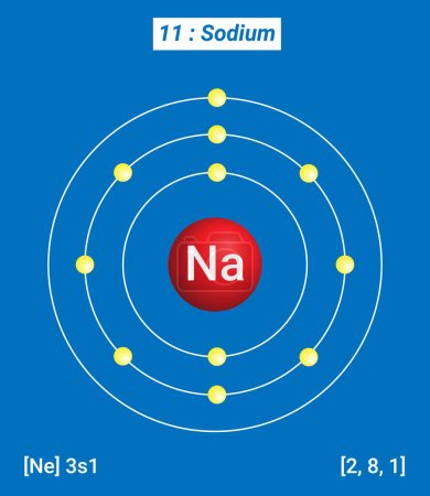 Ilustración de Na Sodium Element Information - Hechos, propiedades, tendencias, usos y comparación Tabla periódica de los elementos, estructura Shell de sodio - Electrones por nivel de energía - Imagen libre de derechos