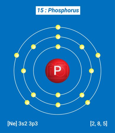 Ilustración de P Phosphorus Element Information - Facts, Properties, Trends, Uses and comparison Periodic Table of the Elements, Shell Structure of Phosphorus energy lev - Imagen libre de derechos