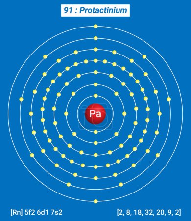 Illustration for Pa Protactinium Element Information - Facts, Properties, Trends, Uses and comparison Periodic Table of the Elements, Shell Structure of Protactinium - Royalty Free Image