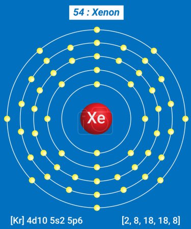 Ilustración de Xe Xenon Element Information - Hechos, propiedades, tendencias, usos y comparación Tabla periódica de los elementos, estructura Shell de Xenon - Electrones por nivel de energía - Imagen libre de derechos