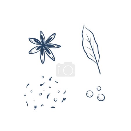 Illustration for Spices collection anis, lavrushka, black peppercorns. Spices set. Natural seasoning and culinary ingredient. Vector illustration isolated on white background eps 10 - Royalty Free Image