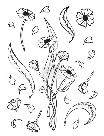 Illustration for Collection object of flowers leaves bright sketch illustration vector - Royalty Free Image