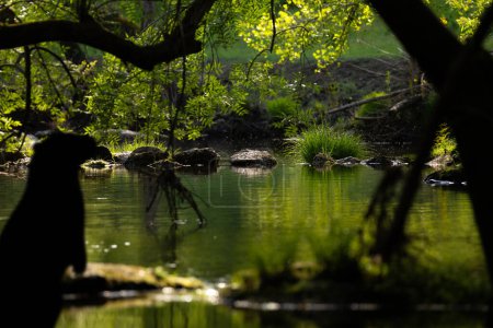 Foto de Otter Green Land en Braga, al norte de Portugal. - Imagen libre de derechos