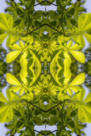 Photo for Abstract Kaleidoscope Illusion of a Tree with Vibrant Green Foliage. - Royalty Free Image