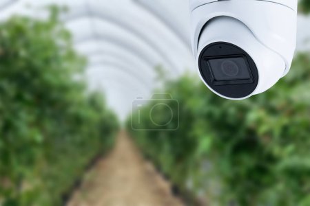 Téléchargez les photos : Robotic and CCTV Camera on Smart Green House - en image libre de droit