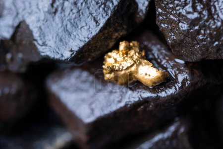 Minería de pepitas de oro del río en Austria, oro real
