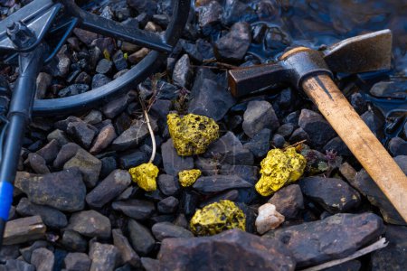 Téléchargez les photos : Extraction de pépites d'or de la rivière en Autriche, véritable or - en image libre de droit