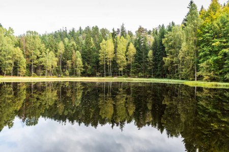 Foto de Lago con bosque con formación de rocas reflejándose en el agua - Lago Cerne jezirko cerca del asentamiento Skaly en la República Checa - Imagen libre de derechos