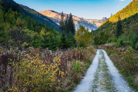 Téléchargez les photos : Jamnicka dolina vallée avec des sommets de montagne Baranec et Ostry Rohac dans les montagnes Zapadne Tatry en Slovaquie lors d'une belle journée d'automne - en image libre de droit