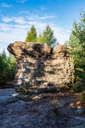Foto de Mushroom rock -- Kamenne hriby por encima del pueblo eslavo en Broumovske steny en CHKO Broumovsko en la República Checa - Imagen libre de derechos