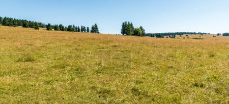 Photo for Rolling landscape with meadows, forest and clear sky - Krusne hory mountains near Prebuz town in Czech republic - Royalty Free Image