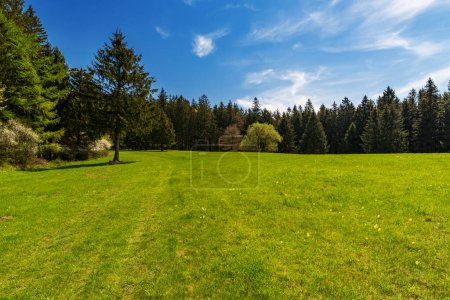Photo for Fresh green springtime meadow with trees around and blue sky with clouds above Javornik village in Bile Karpaty mountains in Czech republic - Royalty Free Image