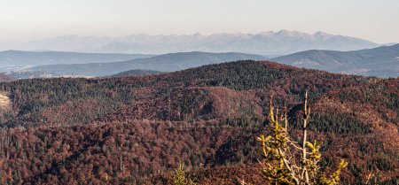Photo for Tatra mountains from Velka Raca hill in Beskid Zywiecki mountains on polish - slovakian borders during beautiful autumn day - Royalty Free Image