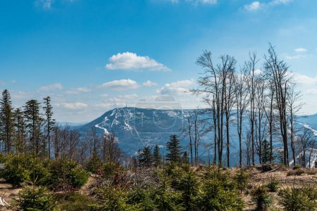 Téléchargez les photos : Skrzyczne colline du sentier de randonnée ci-dessous sommet de la colline Klimczok au début du printemps Beskid Slaski montagnes en Pologne - en image libre de droit