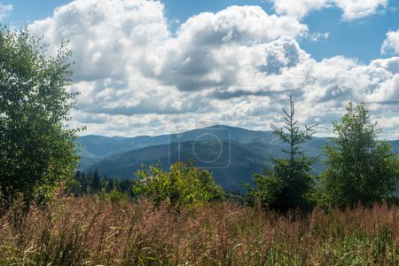 Photo for Velka Raca and few other hills from forest glade bellow Javorske hill summit in Kysucke Beskydy mountains in Slovakia during beautiful summer day - Royalty Free Image