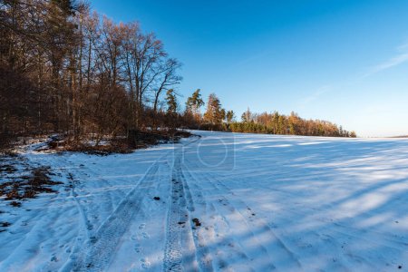 Téléchargez les photos : Paysage hivernal avec prairie enneigée, arbres autour et ciel dégagé près de la ville d'Ostrava en République tchèque - en image libre de droit