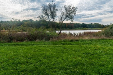 Teich mit Wiese, Schilf und Wald im Hintergrund - Burgteich bei Kurbitz in Sachsen im Frühherbst