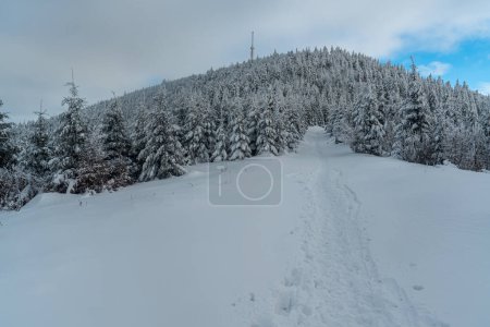 Lysa hora hill in Moravskoslezske Beskydy mountains in Czech republic during freezing winter day