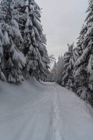 nieve cubierto sendero marcado con raquetas de nieve pasos aftre fuerte nevada en el bosque de invierno congelado abajo Lysa hora colina cumbre en República Checa