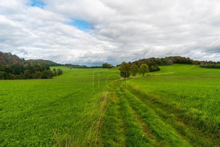 Frühherbstliche Landschaft mit kleinen Hügeln, Wiesen, Wald, Wanderwegen und blauem Himmel mit Wolken bei Oeslnitz im Vogttland