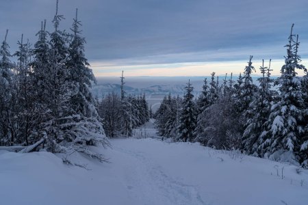 Snow covered hiking trail with frozen trees around bellow Lysa hora hill summit in winter Moravskoslezske Beskydy mountains in Czech republic