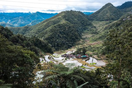 Photo for Beautiful landscape at Mountain Province Banaue Ifugao, Philippines - Royalty Free Image