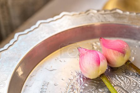Paar rosa Lotus auf Tablett im Buddhismus-Tempel. Rosafarbene Lotusblumen als Hommage auf einem silbernen Sockeltablett. Kopierraum.