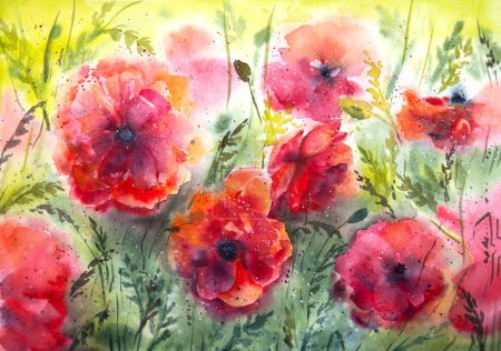 Watercolor poppy painting. Red watercolor poppies. Hand painted poppies. Watercolor floral painting.