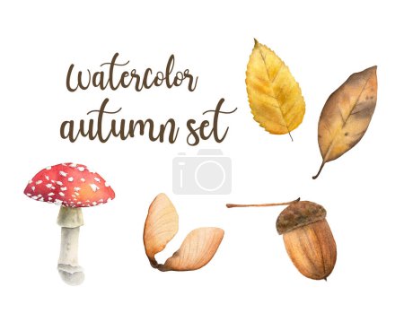 Ilustración de Acuarela dibujada a mano conjunto otoño. Acuarela hojas de otoño, bellota, setas y fruta de arce. - Imagen libre de derechos