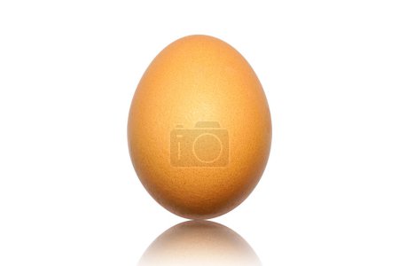 Photo for Close up of Brown chicken egg with reflect shadow isolated on white background. one easter egg. Standing view single hen raw egg. Natural nutrition food. Healthy ingredient meal protein product. - Royalty Free Image