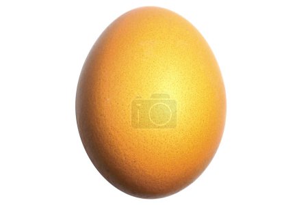 Photo for Close up of One brown chicken egg isolated on white background with left side shadow. Easter egg. Single hen raw egg. Natural nutrition food. Healthy ingredient meal protein product. - Royalty Free Image