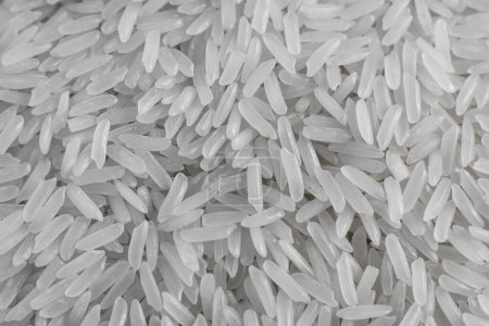Photo for Close up of dry raw white rice background.  Macro top view of uncooked grain. Traditional food meal or ingredient of asian culture. - Royalty Free Image