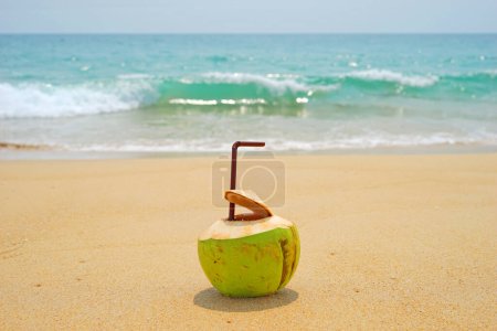 Photo for Selective focus of fresh coconut juice and straw on tropical sand beach nearby blue sea scene. Tropical fruit juice for healthy background. - Royalty Free Image