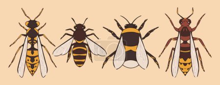 Illustration for Set of cartoon insects bees - Royalty Free Image