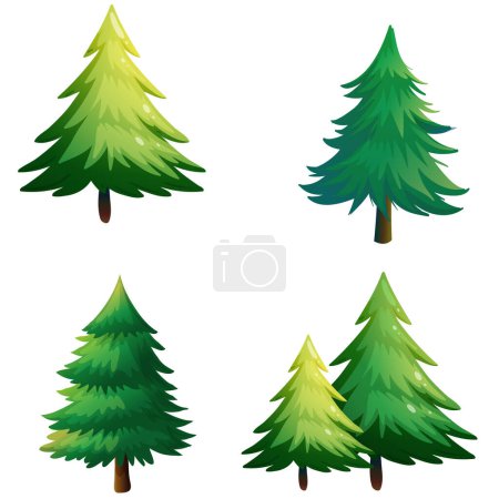 Téléchargez les illustrations : Diversité des pins sur fond blanc - en licence libre de droit