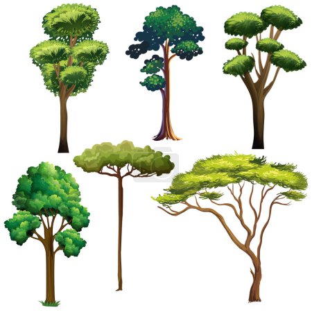 Téléchargez les illustrations : Diversité des arbres sur fond blanc - en licence libre de droit