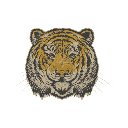 Ilustración de Vintage grungy mascota cabeza de animal tigre sobre fondo blanco. Ilustración vectorial para camiseta, sitio web, impresión, clip art, póster e impresión a la carta de mercancías. - Imagen libre de derechos