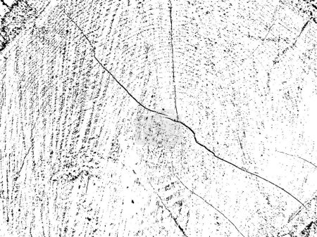 Illustration for Organic pine tree cross-section grunge texture with cracks on monochrome sawn log background. Ideal for texture overlays, stencils & adding a raw, rustic feel to designs. Design element - Royalty Free Image