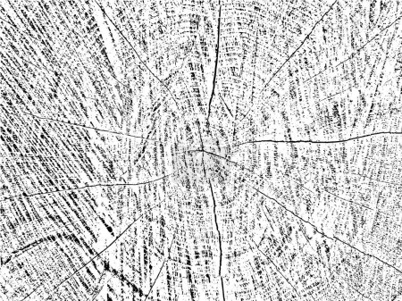Illustration for Authentic vector grunge texture of a tree cross-section with cracks and concentric circles. Use for vintage, rustic, or abstract designs - Royalty Free Image