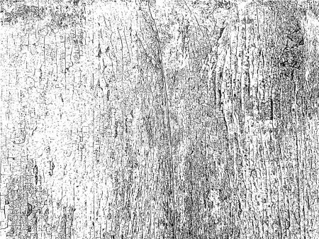 Illustration for Distressed wooden texture with peeling black and white paint. Versatile grunge overlay for creative designs. Vector illustration - Royalty Free Image