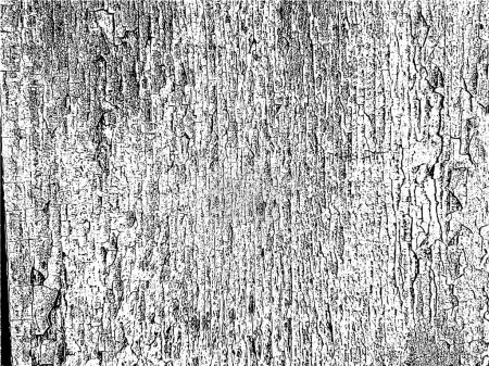 Illustration for Worn-out vintage wood texture with fading paint. Grunge background for artistic design. Vector illustration - Royalty Free Image
