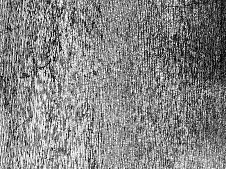 Illustration for Original vector grunge texture of old wooden board. Using the effect of distress, weathering, chips, cracks, scratches, scuffs, dust, dirt, large and small grains. For backgrounds in vintage style - Royalty Free Image