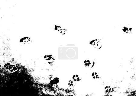 Illustration for Vector grunge texture of a lot of dog paw prints in the snow. Using the effect of distress weathering chips cracks scratches scuffs dust dirt large and small grains. For backgrounds in vintage style - Royalty Free Image