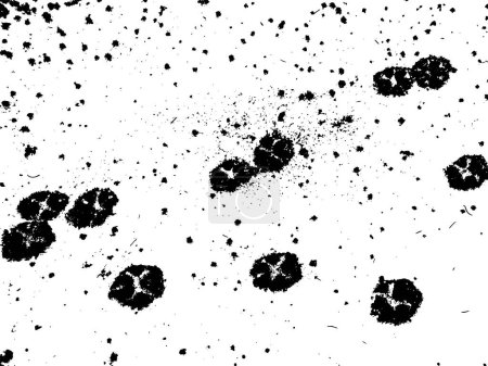 Illustration for Many dog paw prints on snow, vector grunge texture. Using the effect of distress, weathering, chips, scuffs, dust, dirt, large and small grains. For backgrounds in vintage style, overlay, stencil - Royalty Free Image