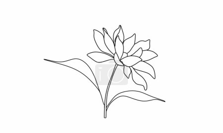 Ilustración de Arte de la línea de flores de loto. O por otro nombre Nymphaea. Arte de línea simple. Fondo blanco aislado - Imagen libre de derechos