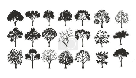 Illustration for Silhuette of trees on transparent background - Royalty Free Image