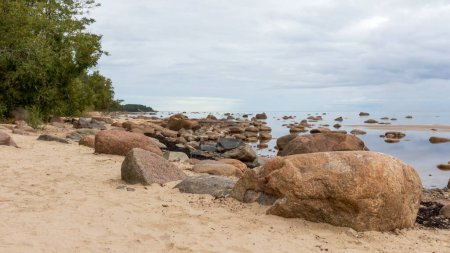 Téléchargez les photos : Vue sur la mer avec ciel bleu, divers rochers et arbres verts - en image libre de droit